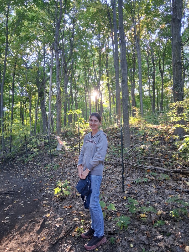 Early fall colours along the Olmsted Path on Mount Royal — Oct. 3, 2026, Montreal, Quebec, Canada