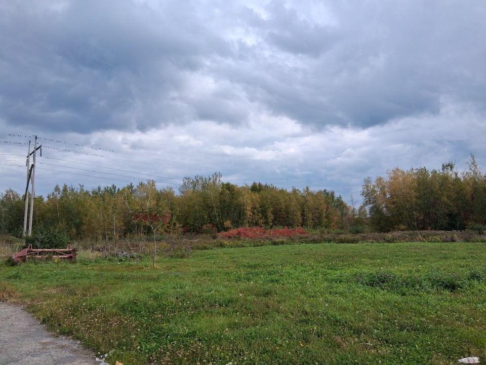 It's fall for real, Ottawa to Montreal — Oct. 4, 2026, Quebec/Ontario, Canada