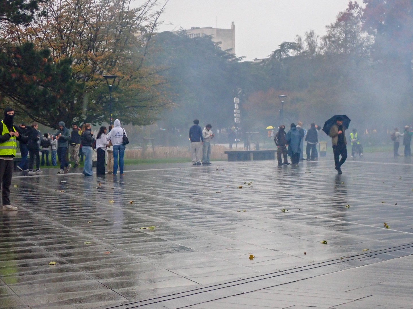 Protesters at the Miroir d’Eau after tear gas was fired — Oct. 24, 2026, Square Élisa-Mercœur, Nantes, Pays de la Loire, France
