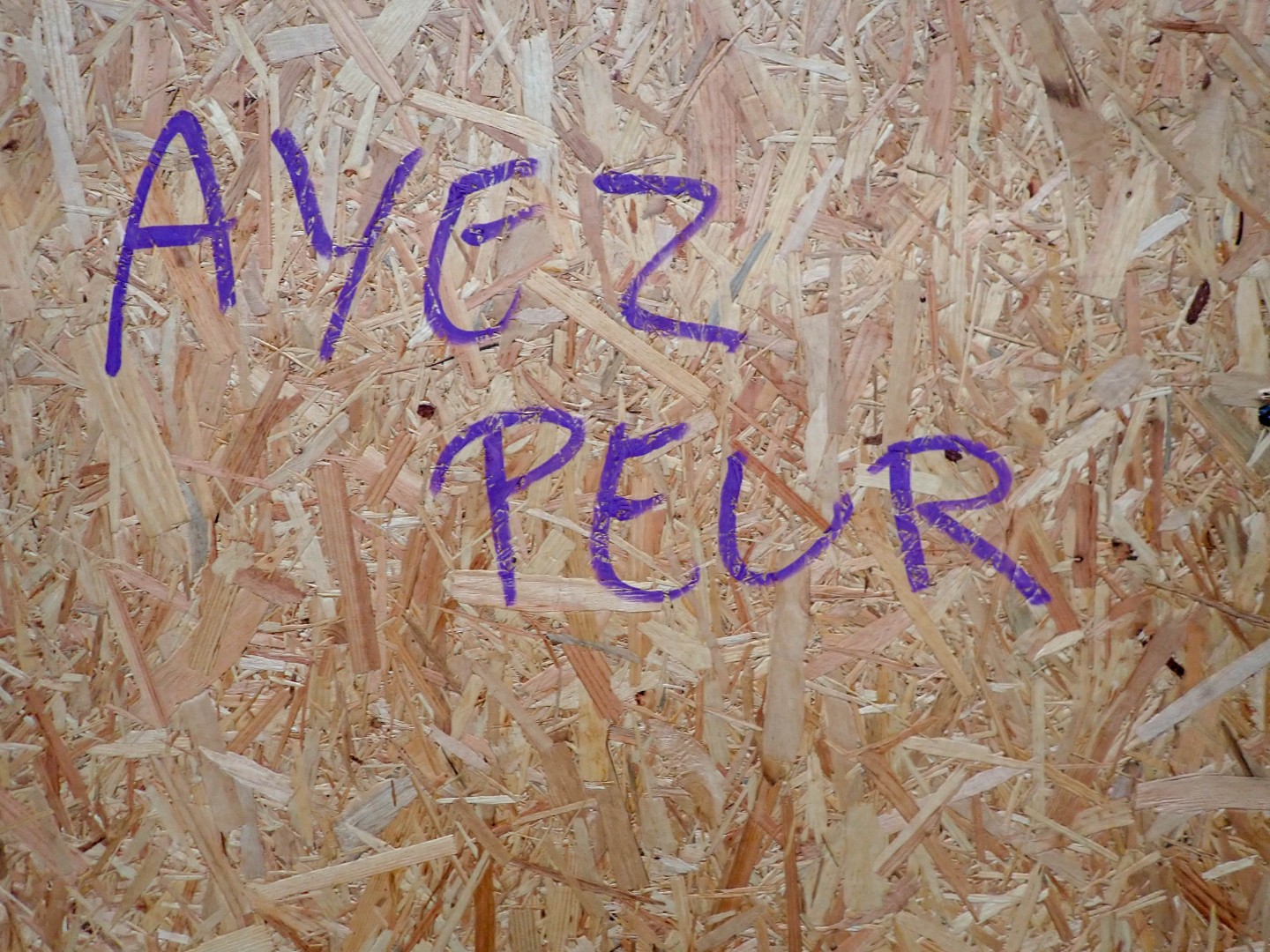 Ayez peur (Be afraid), written on a boarded-up shopfront — Oct. 24, 2026, Nantes, Pays de la Loire, France